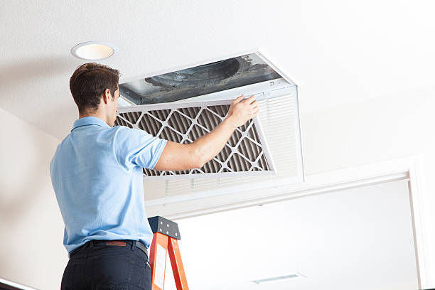 Best Air Filters and Purifiers in Cambridge, MN